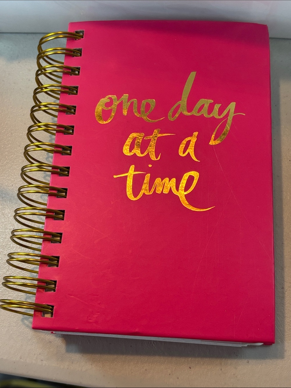 NWOT-Heidi Swapp “One Day at a Time” 12 Month Memory Planner-Fuchsia Pink/Gold